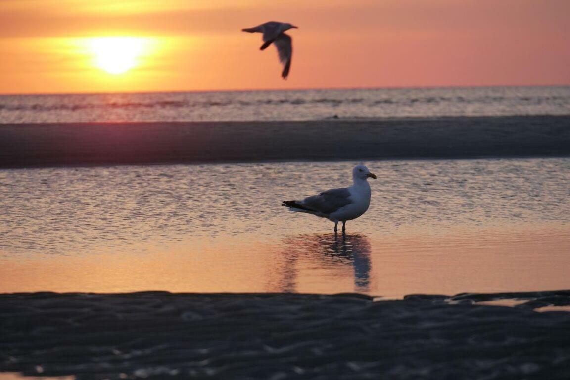 Fewo Buesum - Bella Mare - Nordseestrasse 3 Kültér fotó